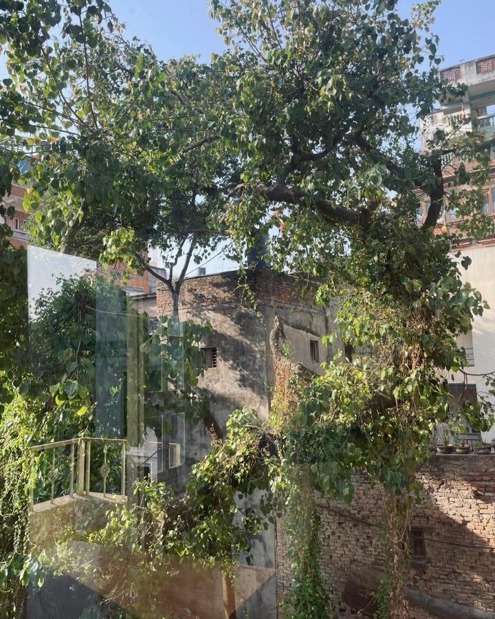 Rooftop Studio And 2Bhk Apartments In Kathmandu'S Most Happening Place المظهر الخارجي الصورة